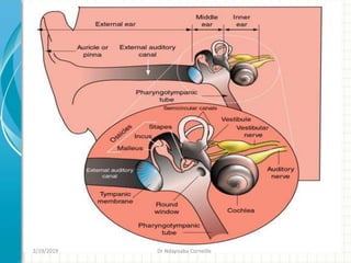 2/19/2019 Dr Ndayisaba Corneille
 