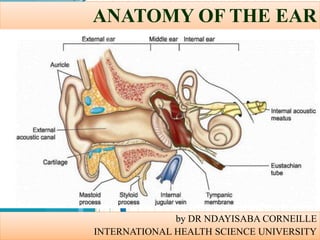 ANATOMY OF THE EAR
by DR NDAYISABA CORNEILLE
INTERNATIONAL HEALTH SCIENCE UNIVERSITY
 