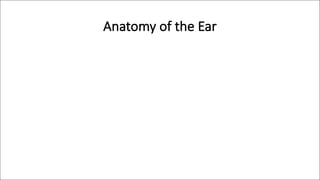 Anatomy of the Ear
 