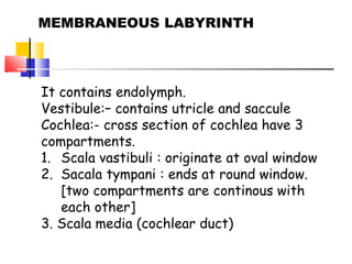 MEMBRANEOUS LABYRINTH
It contains endolymph.
Vestibule:– contains utricle and saccule
Cochlea:- cross section of cochlea have 3
compartments.
1. Scala vastibuli : originate at oval window
2. Sacala tympani : ends at round window.
[two compartments are continous with
each other]
3. Scala media (cochlear duct)
 