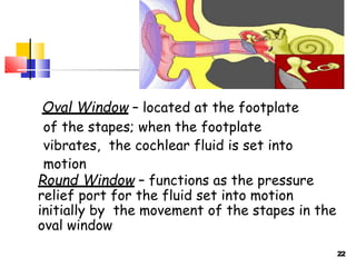 22
Oval Window – located at the footplate
of the stapes; when the footplate
vibrates, the cochlear fluid is set into
motion
Round Window – functions as the pressure
relief port for the fluid set into motion
initially by the movement of the stapes in the
oval window
 