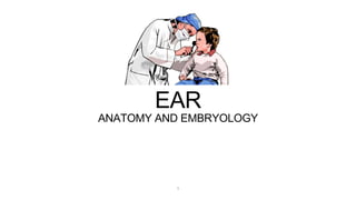 EAR
ANATOMY AND EMBRYOLOGY
1
 