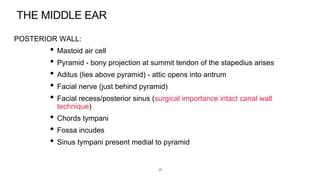EAR_ANAT_PP[1].pptx