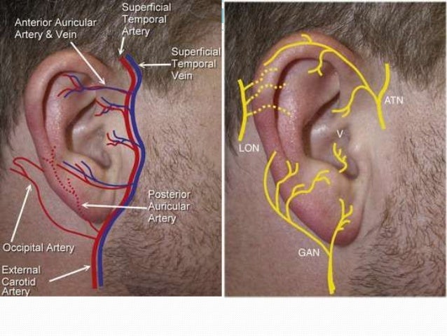 Ear discharge and otalgia