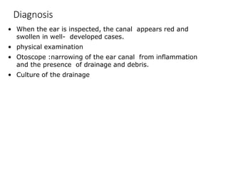 Diagnosis
• When the ear is inspected, the canal appears red and
swollen in well- developed cases.
• physical examination
• Otoscope :narrowing of the ear canal from inflammation
and the presence of drainage and debris.
• Culture of the drainage
 