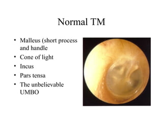 Normal Tm Ent ear exam andthengobacktoworkandgetai.ppt