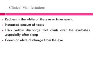 Clinical Manifestations
 Redness in the white of the eye or inner eyelid
 Increased amount of tears
 Thick yellow discharge that crusts over the eyelashes
,especially after sleep
 Green or white discharge from the eye
 