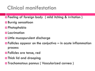 Clinical manifestation
 Feeling of foreign body ( mild itching & irritation )
 Burnig sensatioon
 Photophobia
 Lacrimation
 Little mucopurulent discharge
 Follicles appear on the conjuctiva – in acute inflammation
process
 Follicles are tense, red
 Thick lid and drooping
 Trachomatous pannus ( Vascularized cornea )
 