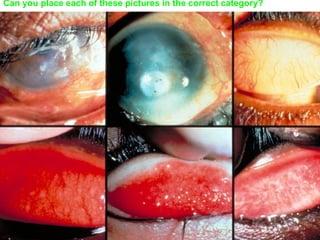 Can you place each of these pictures in the correct category?
 