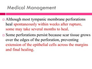 Medical Management
 Although most tympanic membrane perforations
heal spontaneously within weeks after rupture,
some may take several months to heal.
 Some perforations persist because scar tissue grows
over the edges of the perforation, preventing
extension of the epithelial cells across the margins
and final healing.
 