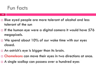 Fun facts
 Blue eyed people are more tolerant of alcohol and less
tolerant of the sun
 If the human eye were a digital camera it would have 576
megapixels.
 We spend about 10% of our wake time with our eyes
closed.
 An ostrich’s eye is bigger than its brain.
 Chameleons can move their eyes in two directions at once.
 A single scallop can possess over a hundred eyes
107
 