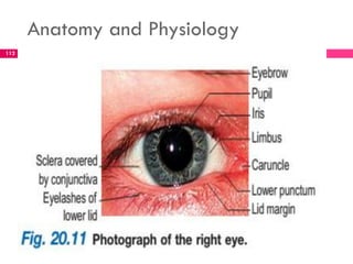 Anatomy and Physiology
112
 