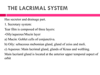THE LACRIMAL SYSTEM
Has secretor and drainage part.
1. Secrotary system:
Tear film is composed of three layers:
-Oily/aqueous/Mucin layer
a) Mucin: Goblet cells of conjunctiva.
b) Oily: sebaceous mebomian gland, gland of zeiss and moli.
c) Aqueous: Main lacrimal gland, glands of Kraus and wolfring.
Main lacriaml gland is located at the anterior upper temporal aspect of
orbit
 