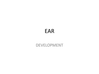 EAR

DEVELOPMENT
 