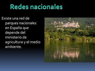 Existe una red de 
parques nacionales 
en España que 
depende del 
ministerio de 
agricultura y el medio 
ambiente. 
 
