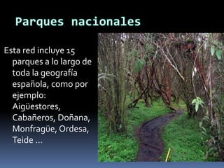 Esta red incluye 15 
parques a lo largo de 
toda la geografía 
española, como por 
ejemplo: 
Aigüestores, 
Cabañeros, Doñana, 
Monfragüe, Ordesa, 
Teide ... 
 