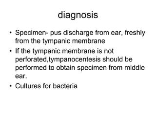 diagnosis
• Specimen- pus discharge from ear, freshly
from the tympanic membrane
• If the tympanic membrane is not
perforated,tympanocentesis should be
performed to obtain specimen from middle
ear.
• Cultures for bacteria
 