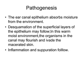 Pathogenesis
• The ear canal epithelium absorbs moisture
from the environment.
• Desquamation of the superficial layers of
the epithelium may follow;In this warm
moist environment,the organisms in the
canal may flourish and ivade the
macerated skin.
• Inflammation and suppuration folllow.
 