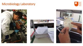 Microbiology Laboratory
 