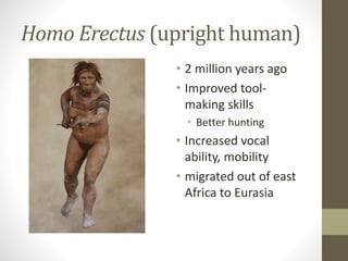 Homo Erectus (upright human)
• 2 million years ago
• Improved tool-
making skills
• Better hunting
• Increased vocal
ability, mobility
• migrated out of east
Africa to Eurasia
 