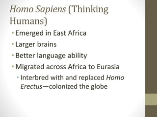 Homo Sapiens (Thinking
Humans)
•Emerged in East Africa
•Larger brains
•Better language ability
•Migrated across Africa to Eurasia
• Interbred with and replaced Homo
Erectus—colonized the globe
 