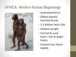 AFRICA: Modern Human Beginnings
• Australopithecus
• Oldest bipedal
hominid found
• 3.2 Million Years Old
• Walked upright
• Carried & used
tools—led to larger
brains
• Evolved into Homo
Habilis
 