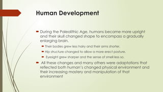The Evolution of Early Human Societies: From Paleolithic to Neolithic ...