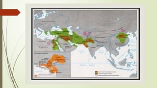 The Evolution of Early Human Societies: From Paleolithic to Neolithic ...