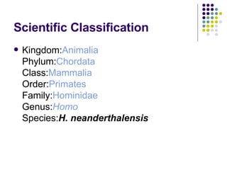 Hominids Classification Early Human Notes | PPT
