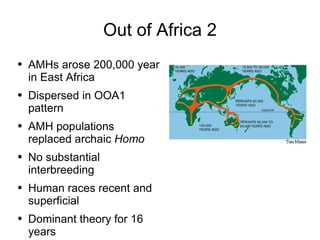 Out of Africa 2 <ul><li>AMHs arose 200,000 year in East Africa </li></ul><ul><li>Dispersed in OOA1 pattern </li></ul><ul><...