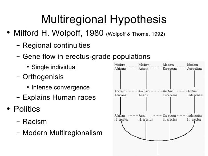 define the multiregional hypothesis