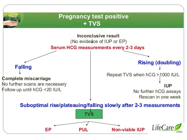 early pregnancy dilemmas dr sharda jain dr jyoti bhaskar progesterone levels in early pregnancy chart