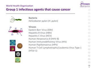 16
4
World Health Organization
Group 1 infectious agents that cause cancer
Bacteria
Helicobacter pylori (H. pylori)
Viruses
Epstein-Barr Virus (EBV)
Hepatitis B Virus (HBV)
Hepatitis C Virus (HCV)
Human Herpesvirus 8 (HHV-8)
Human Immunodeficiency Virus (HIV)
Human Papillomavirus (HPV)
Human T-Cell Lymphotrophic/Leukemia Virus Type 1
(HTLV-1)
 