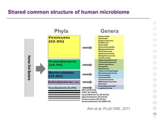 18
1
Shared common structure of human microbiome
Catonella
Dialister
Eubacterium
Filifactor
Gemella
Granulicatella
Megasphaera
Parvimonas
Selenomonas
Streptococcus
Veillonella
Aggregatibacter
Camplylobacter
Haemophilus
Kingella
Neisseria
Capnocytophaga
Porphyromonas
Prevotella
Tannerella
Actinomyces
Bifidobacterium
Slackia
Fusobacterium
LeptotrichiaFusobacteria (5.0%)
Firmicutes
(52.3%)
Proteobacteria
(19.7%)
Bacteroidetes
(15.6%)
Actinobacteria(7.3%)
SR1 (0.07%)
TM7 (0.06%)
Cyanobacteria (0.01%)
Spirochaetes (0.01%)
Tenericutes (0.01%)
Synergistetes (0.0001%)
HumanOralBacteria
Ahn et al, PLoS ONE, 2011
Phyla Genera
 