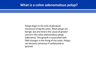 What is a colon adenomatous polyp?
Polyps begin in the cells of glandular
structures lining the colon. Most polyps are
benign, but one kind is the cause of greater
concern–the colon adenomatous polyp
(adenoma). This growth is associated with
DNA changes in the lining of the colon. Polyps
can become cancerous if undetected or
ignored.
 