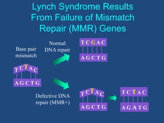 Lynch Syndrome Results
From Failure of Mismatch
Repair (MMR) Genes
Base pair
mismatch
Normal
DNA repair
Defective DNA
repair (MMR+)
T CTA C
A G C T G
T C G A C
A G C T G
T CTA C
A G C T G A G A T G
T C T A C
 