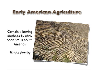 Early American Agriculture


Complex farming
methods by early
societies in South
     America

 Terrace farming
 