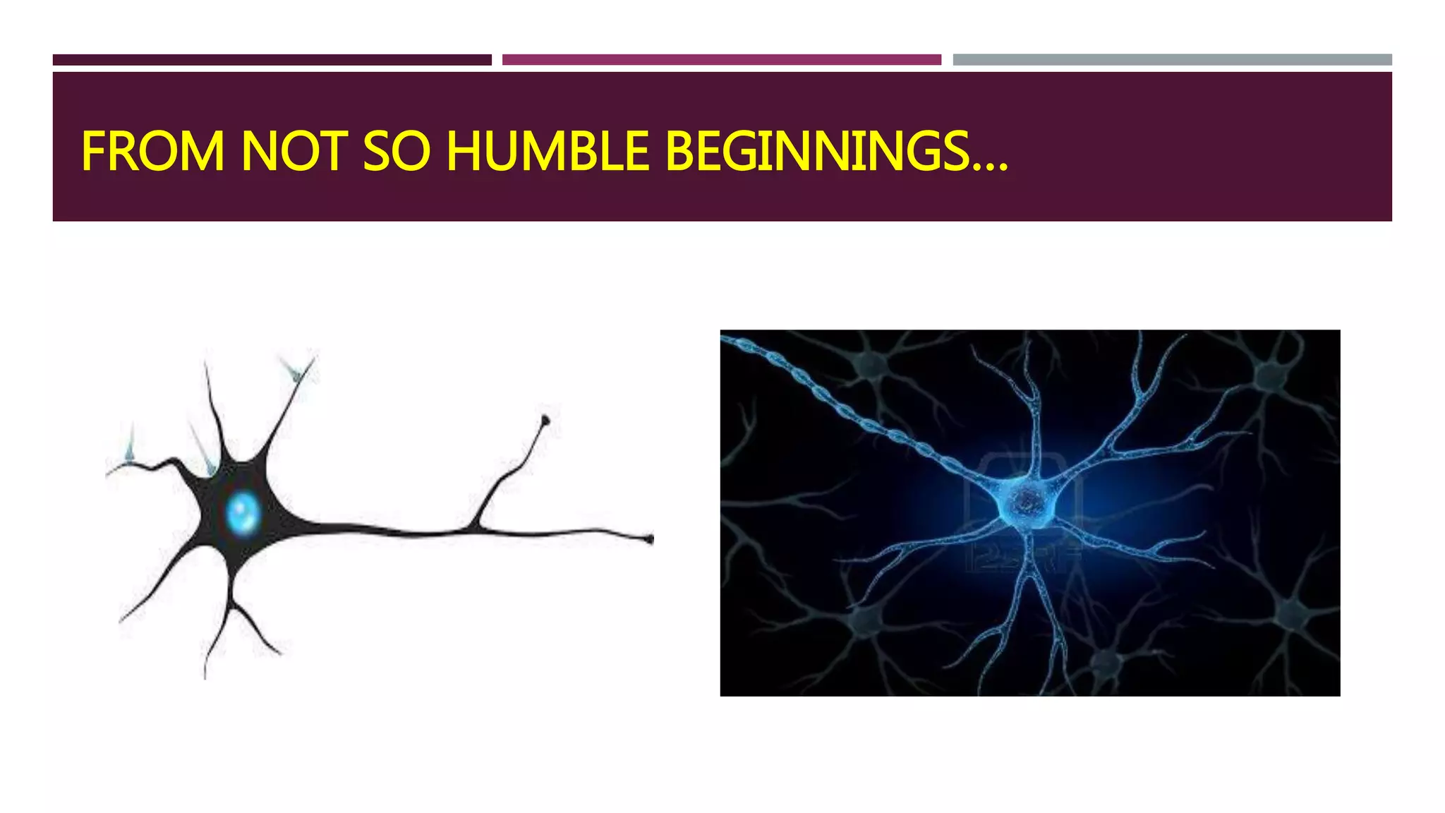 FROM NOT SO HUMBLE BEGINNINGS…
 