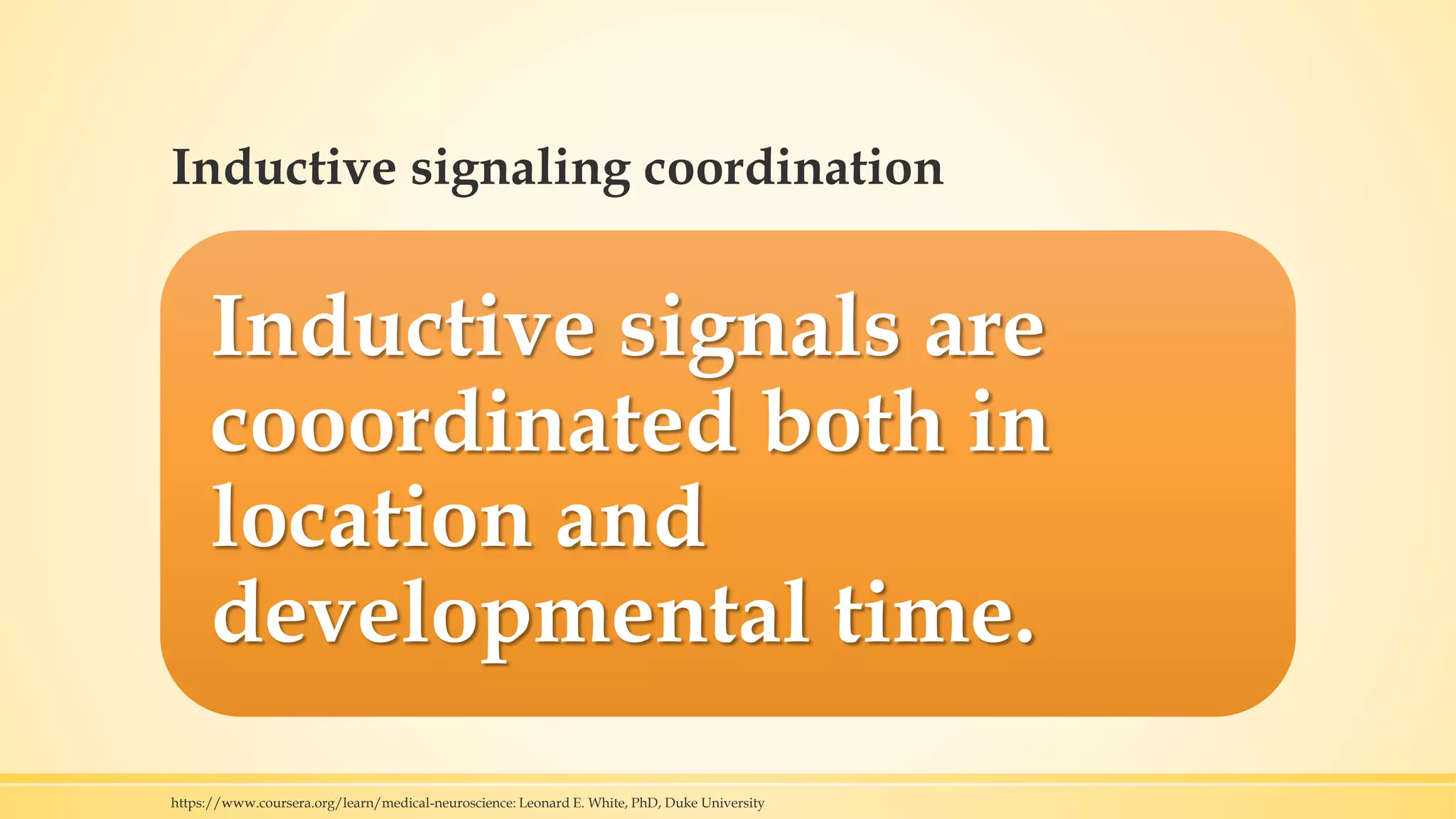 Inductive signaling coordination
Inductive signals are
cooordinated both in
location and
developmental time.
https://www.coursera.org/learn/medical-neuroscience: Leonard E. White, PhD, Duke University
 