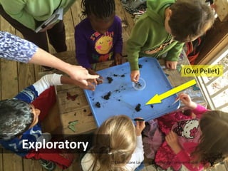 (Owl Pellet)

Exploratory

 