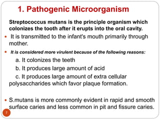 1. Pathogenic Microorganism
Streptococcus mutans is the principle organism which
colonizes the tooth after it erupts into the oral cavity.
 It is transmitted to the infant's mouth primarily through
mother.
 It is considered more virulent because of the following reasons:
a. It colonizes the teeth
b. It produces large amount of acid
c. It produces large amount of extra cellular
polysaccharides which favor plaque formation.
 S.mutans is more commonly evident in rapid and smooth
surface caries and less common in pit and fissure caries.
7
 
