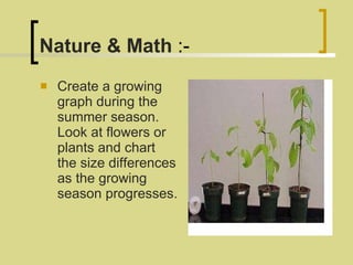 Nature & Math  :- Create a growing graph during the summer season. Look at flowers or plants and chart the size differences as the growing season progresses.  