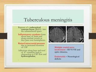 Tuberculous meningitis 
Rupture of a subcortical 
caseous focus (Rich’s) into 
the subarachnoid space. 
Inflammatory exudates form 
about base of brain and 
along cerebral vessels as 
they pass over hemispheres. 
Raised intracranial pressure 
due to increased secretion 
of CSF 
Adhesions along base and roof 
of 4th ventricles lead to 
obstruction to CSF flow and 
hydrocephalus, 
. 
Multiple cranial nerve 
involvement - III VI VII and 
optic chiasma. 
Endarteritis – Neurological 
deficits 
 