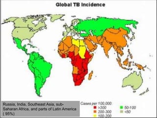 Russia, India, Southeast Asia, sub- 
Saharan Africa, and parts of Latin America 
( 95%) 
 
