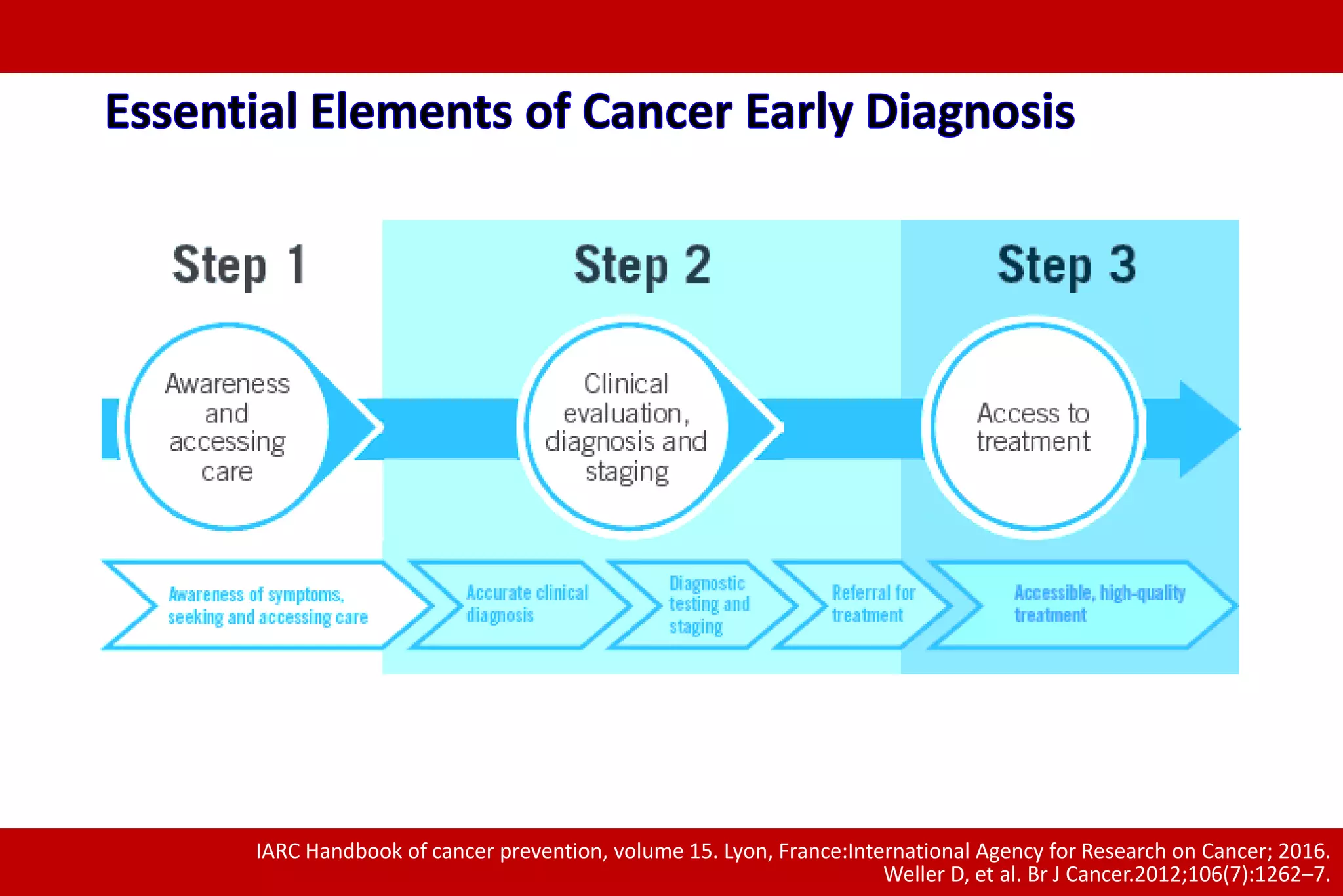 IARC Handbook of cancer prevention, volume 15. Lyon, France:International Agency for Research on Cancer; 2016.
Weller D, et al. Br J Cancer.2012;106(7):1262–7.
 