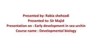 Presented by: Rabia shehzadi
Presented to: Sir Majid
Presentation on : Early development in sea urchin
Course name : Developmental biology
 