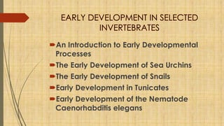 An Introduction to Early Developmental
Processes
The Early Development of Sea Urchins
The Early Development of Snails
Early Development in Tunicates
Early Development of the Nematode
Caenorhabditis elegans
 