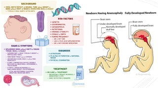 Early Development of the Nervous System: From Neural Tube to Brain ...