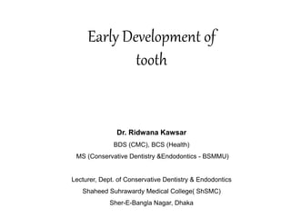 Early Development of
tooth
Dr. Ridwana Kawsar
BDS (CMC), BCS (Health)
MS (Conservative Dentistry &Endodontics - BSMMU)
Lecturer, Dept. of Conservative Dentistry & Endodontics
Shaheed Suhrawardy Medical College( ShSMC)
Sher-E-Bangla Nagar, Dhaka
 