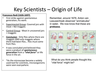 Key Scientists – Origin of Life
Francesco Redi (1626-1697)
• First strike against spontaneous
generation, his work:
• Experimental Group: Covered jars with
meat = NO maggots
• Control Group: Meat in uncovered jars
= maggots
• Conclusion: Only flies where there are
maggots AND only maggots where
there had been flies… flies must come
from flies.
• It was concluded and believed they
were a product of spontaneous
generation from a “vital force” or life
force in the air.
• *As the microscope became a widely
used tool for scientists, microorganisms
were seen everywhere.
Remember, around 1678, Anton van
Leeuwenhoek observed “animalcules”
in water. We now know that these are
protozoa.
What do you think people thought this
“vital force” might be?
 